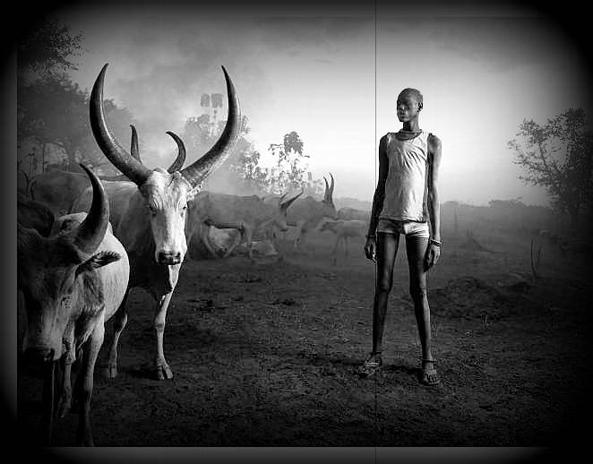 cattle-rearer-south-sudan